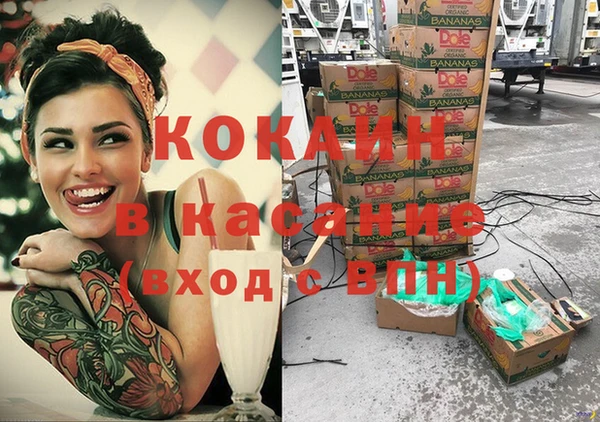 крисы Армянск